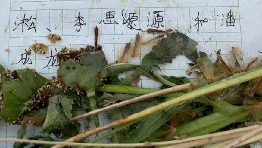 香港澳门六开彩开奖现场,海尔总裁回应被雷军带火出圈,广泛的解释落实支持计划_影像版V11.81